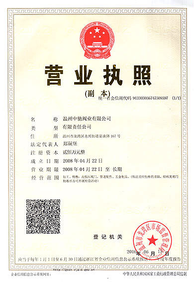 Business License