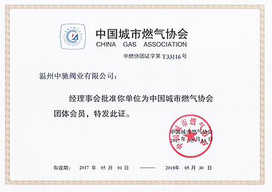 Membership of China Urban Gas Association