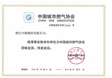 Membership of China Urban Gas Association