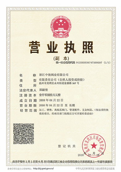 Business License