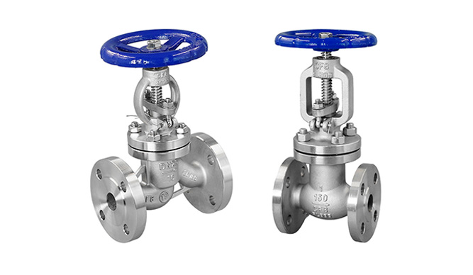 Globe Valve