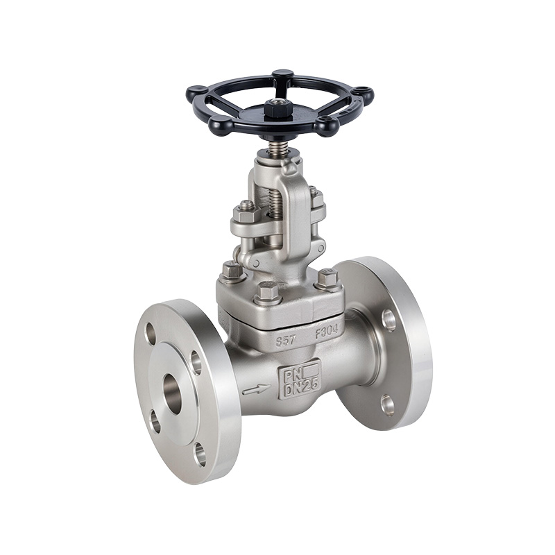 Forged Steel Globe Valve