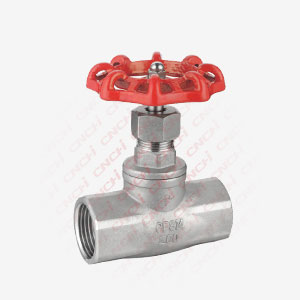 Thread End Globe Valve