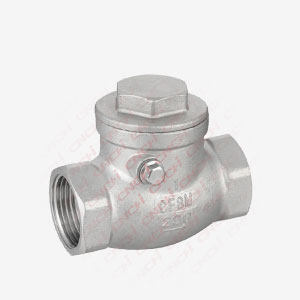Swing Check Valve