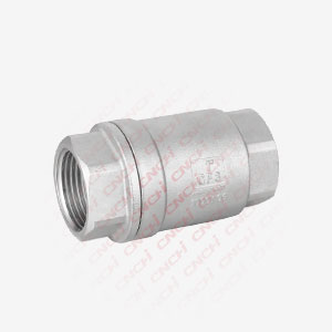 Vertical Lift Check Valve